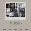 Lila Fairuz, Vandra & Gerry - I Choose U (Lounge Version) - Single